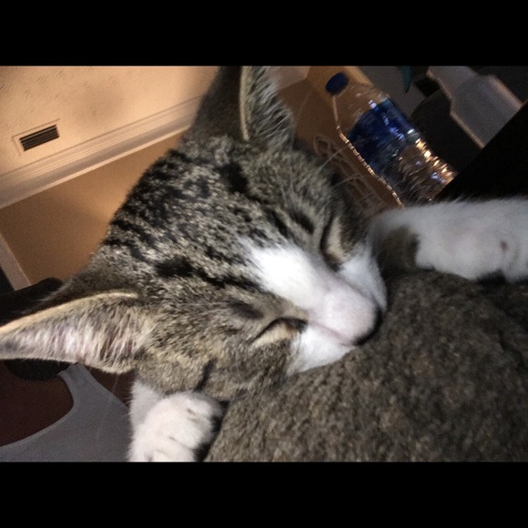 Meet your Posher, Kimberly - Picture 1 of 1